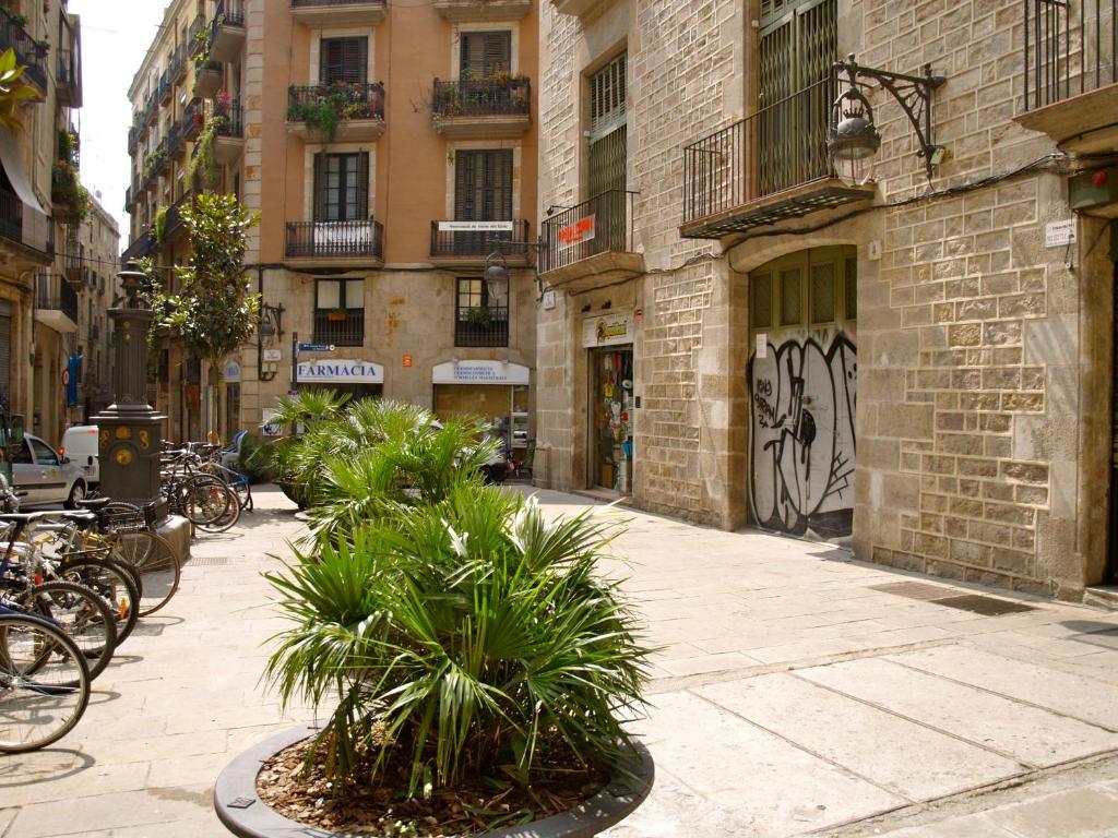 Nitzs Bcn Barcellona